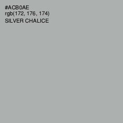 #ACB0AE - Silver Chalice Color Image